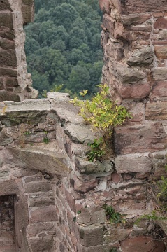0270 Burg Hanstein Sept 2010 (Large)